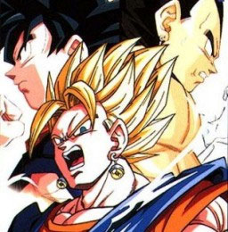 Otaku Gallery  / Anime e Manga / Dragon Ball / Personaggi / Gogeta / 021.jpg